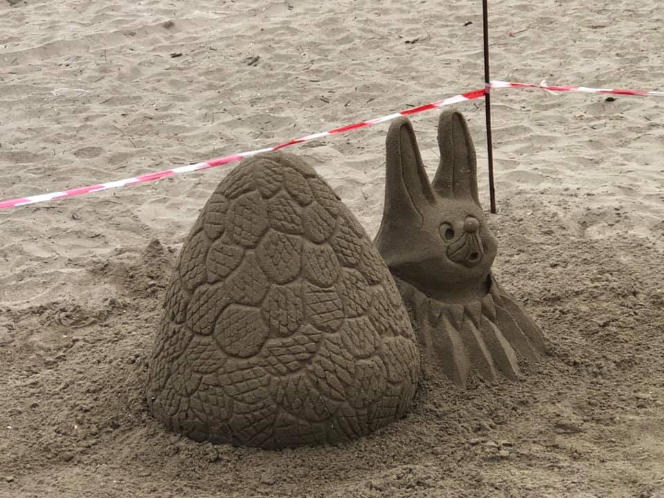 57366673_1211561682340929_6658641558817996800_n