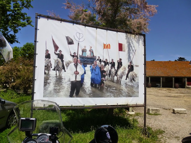 Camargue photo Gérald (100)