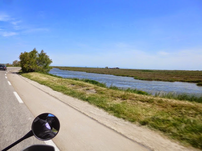 Camargue photo Gérald (81)