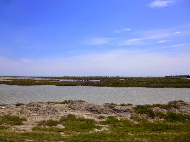 Camargue photo Gérald (84)