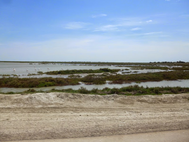 Camargue photo Gérald (85)
