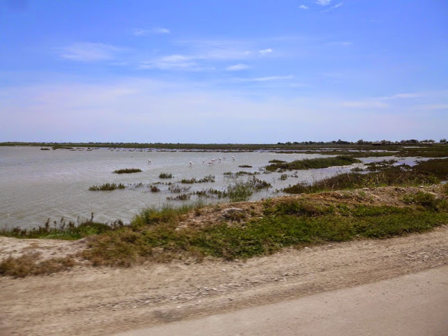 Camargue photo Gérald (86)