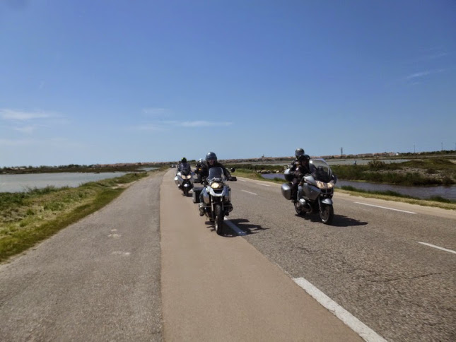 Camargue photo Gérald (87)