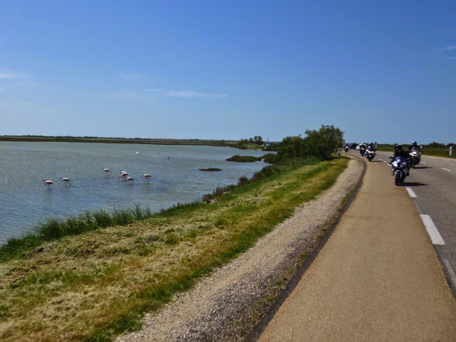 Camargue photo Gérald (92)