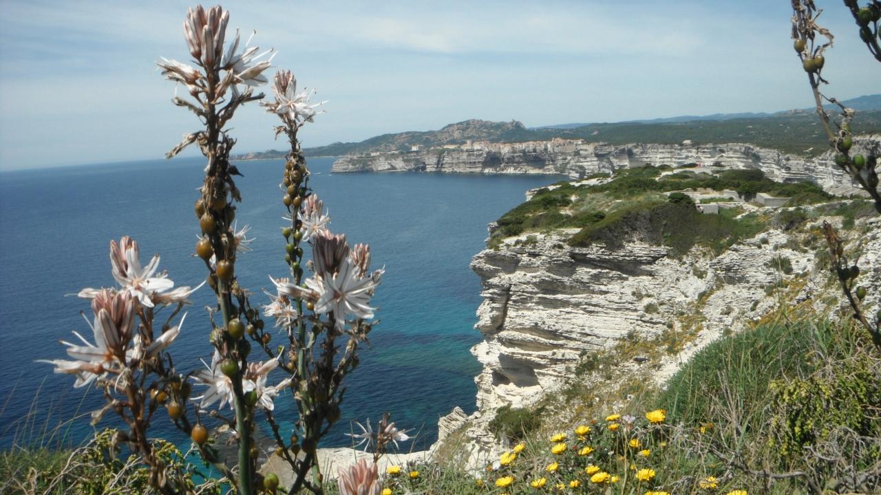  Sur la corniche au dessus de Bonifacio