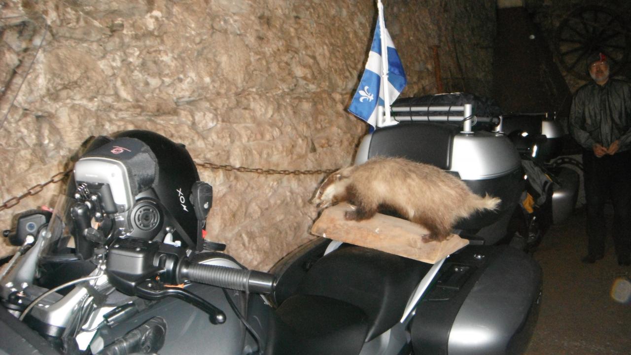 Zont même remplacé le 