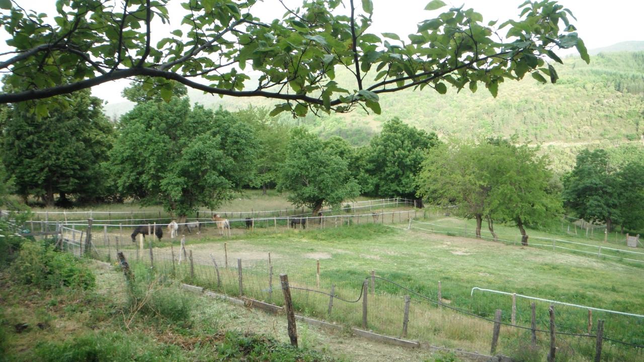 Le calme, la nature ....