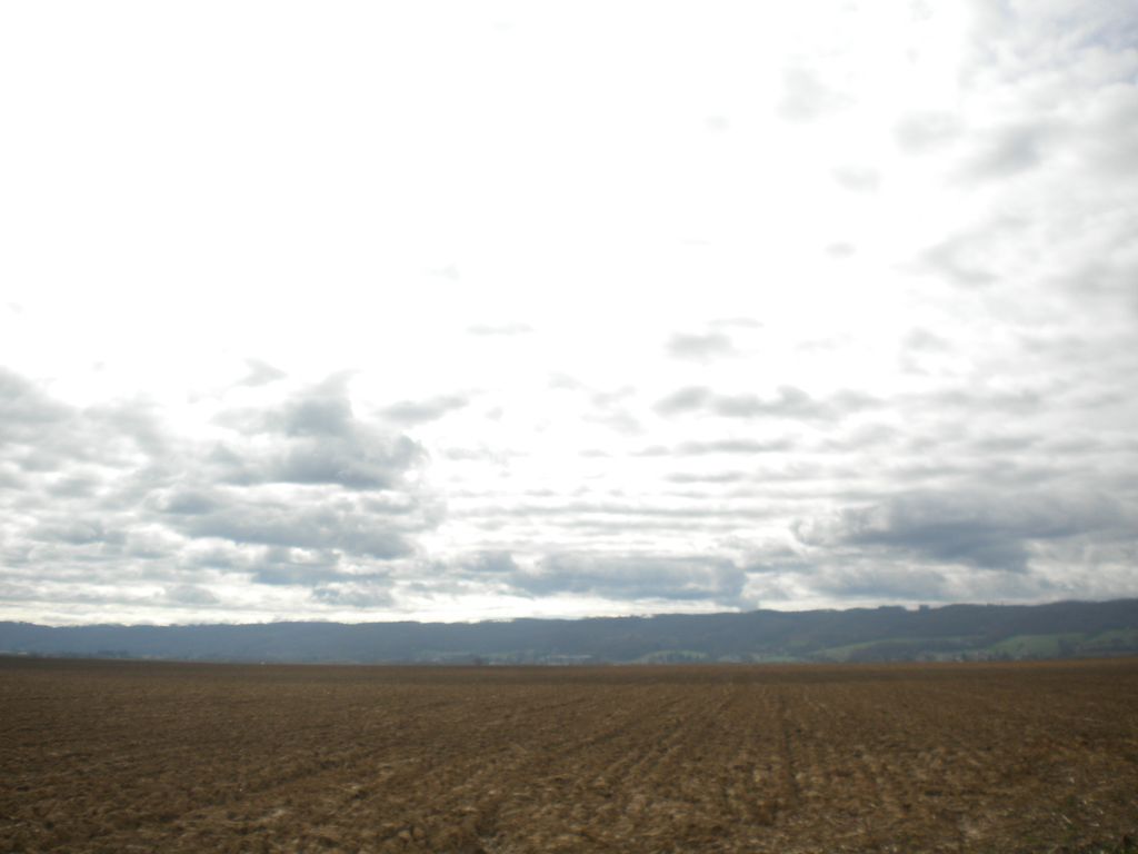 DSCN2934