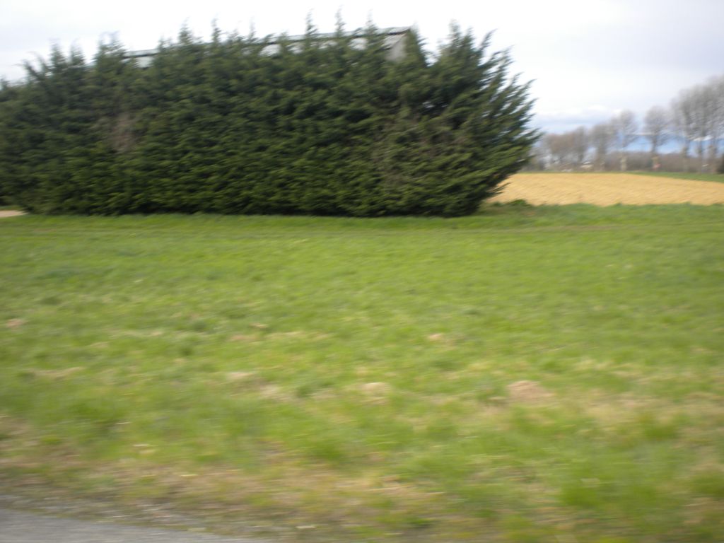 DSCN2936