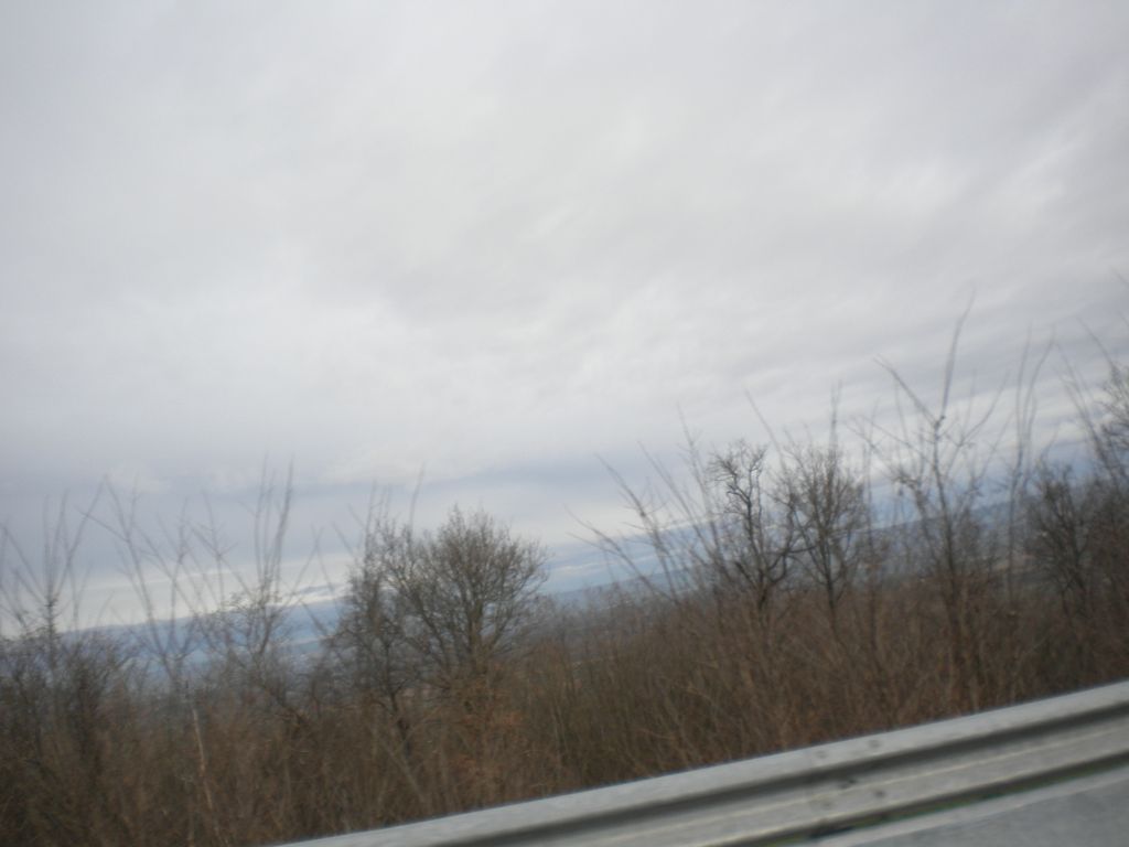 DSCN2940