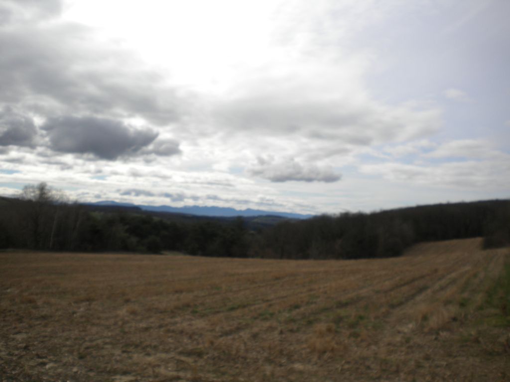 DSCN2944