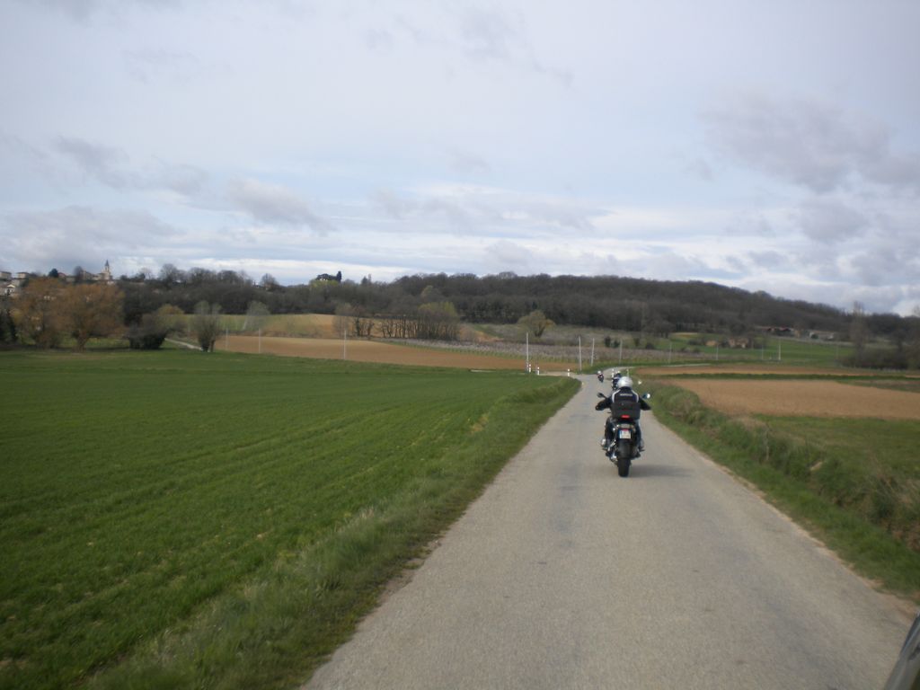 DSCN2954