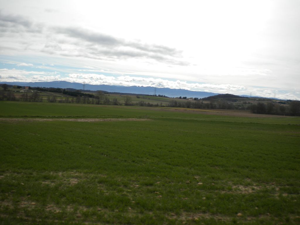 DSCN2955