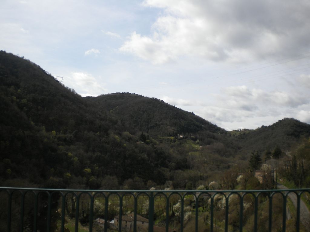DSCN2967