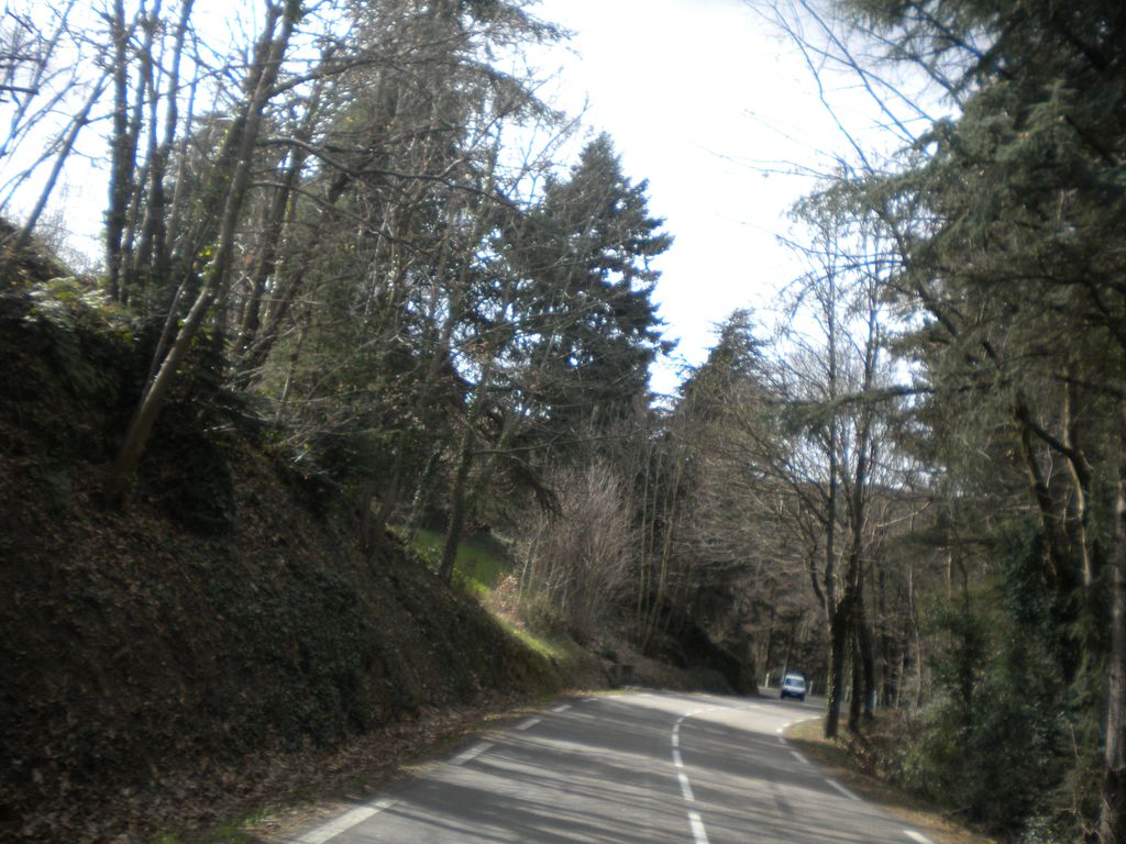 DSCN2972