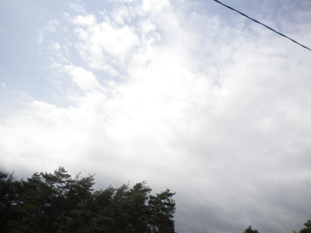 DSCN2975
