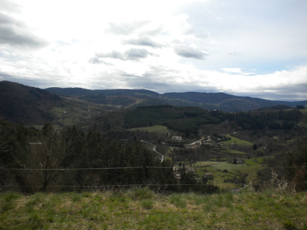 DSCN2977