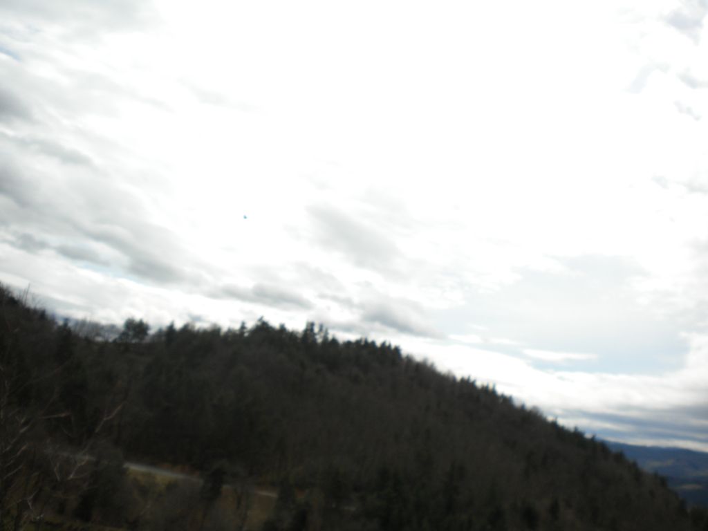 DSCN2978