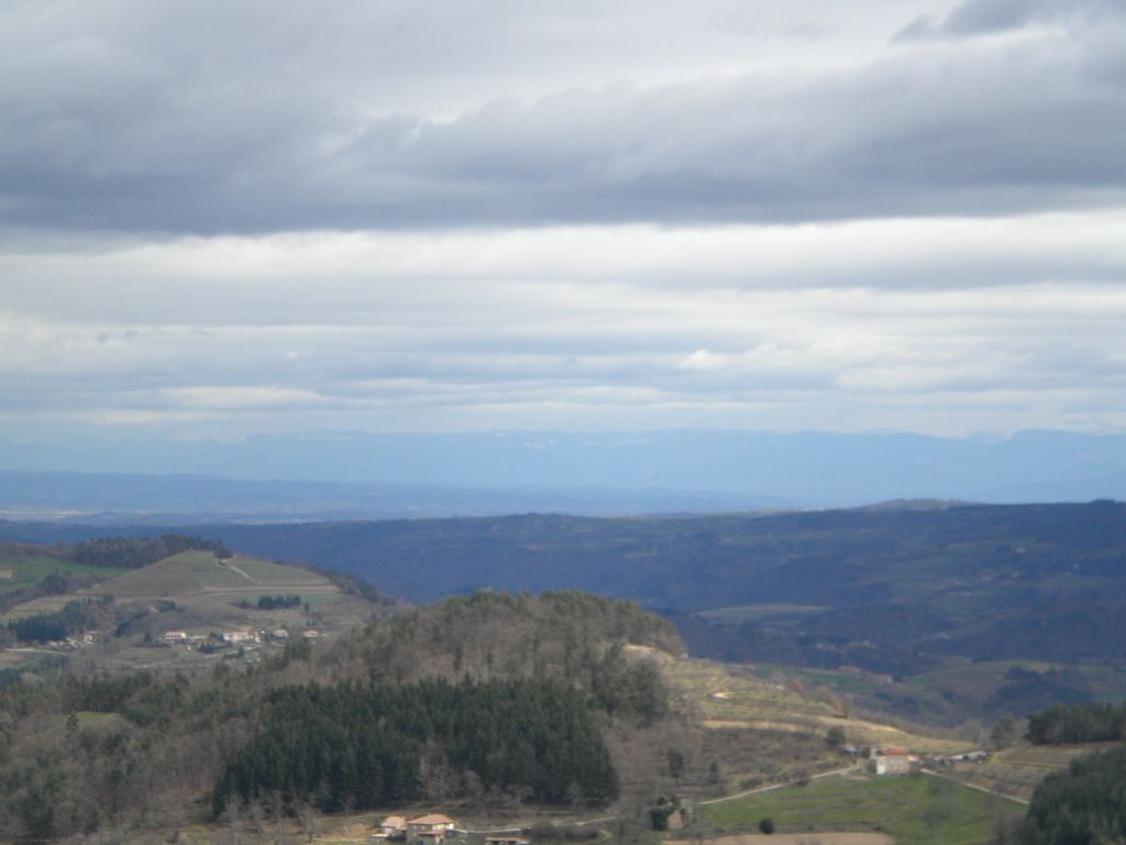 DSCN2980