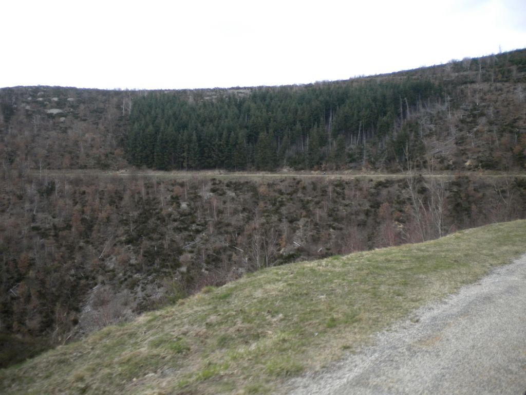 DSCN2988