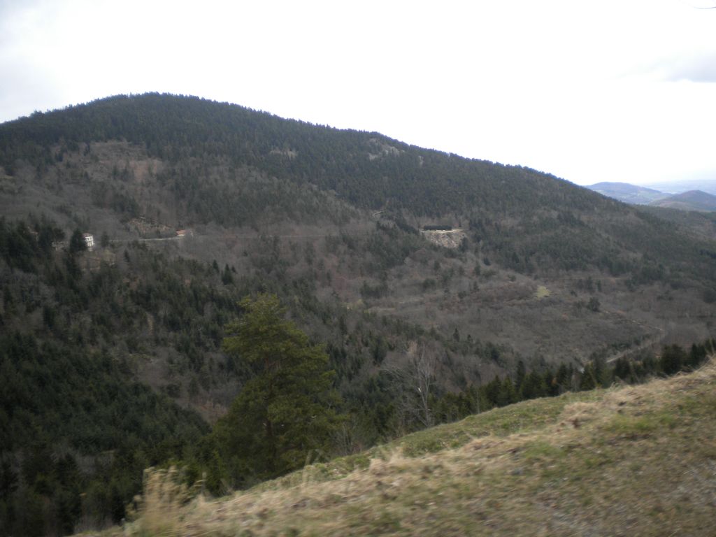 DSCN2990
