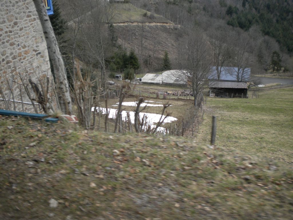 DSCN2991