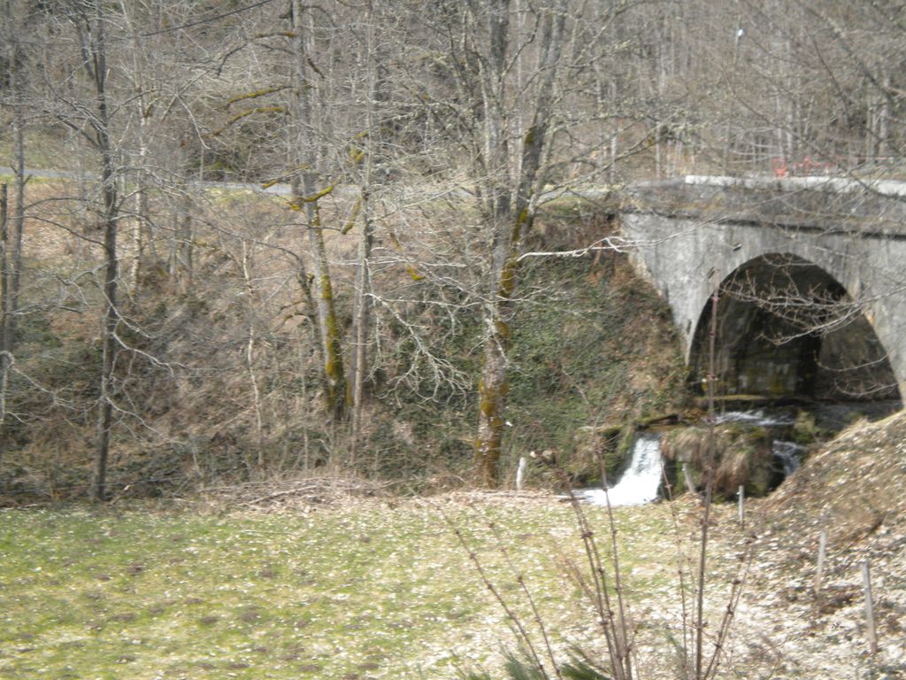 DSCN2996