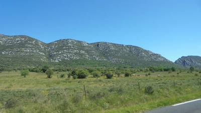 Gorges du Tarn - Cirque de Navacelles Mai 20160005