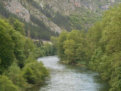 Gorges du Tarn - Cirque de Navacelles Mai 20160014