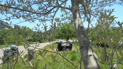 Gorges du Tarn - Cirque de Navacelles Mai 20160024