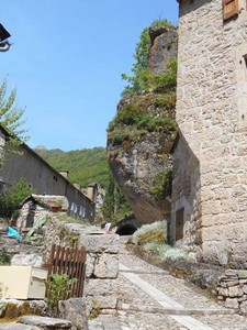 Gorges du Tarn - Cirque de Navacelles Mai 20160062