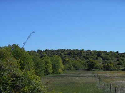 Gorges du Tarn - Cirque de Navacelles Mai 20160152