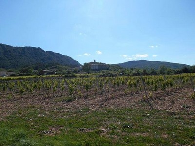 Gorges du Tarn - Cirque de Navacelles Mai 20160191