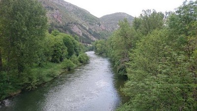 Gorges du Tarn - Cirque de Navacelles Mai 20160205
