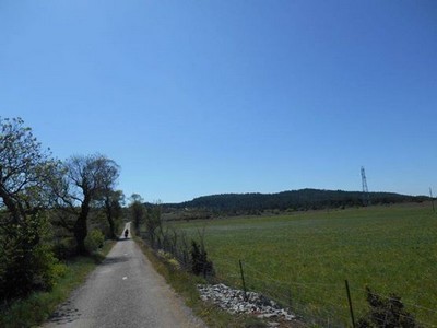 Gorges du Tarn - Cirque de Navacelles Mai 20160214