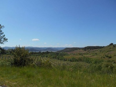 Gorges du Tarn - Cirque de Navacelles Mai 20160242