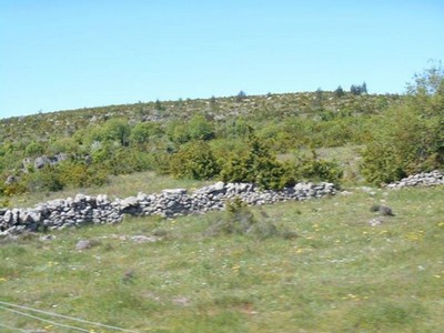 Gorges du Tarn - Cirque de Navacelles Mai 20160349