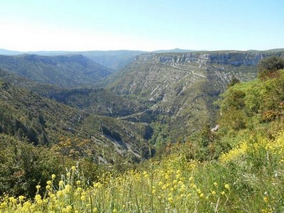 Gorges du Tarn - Cirque de Navacelles Mai 20160357