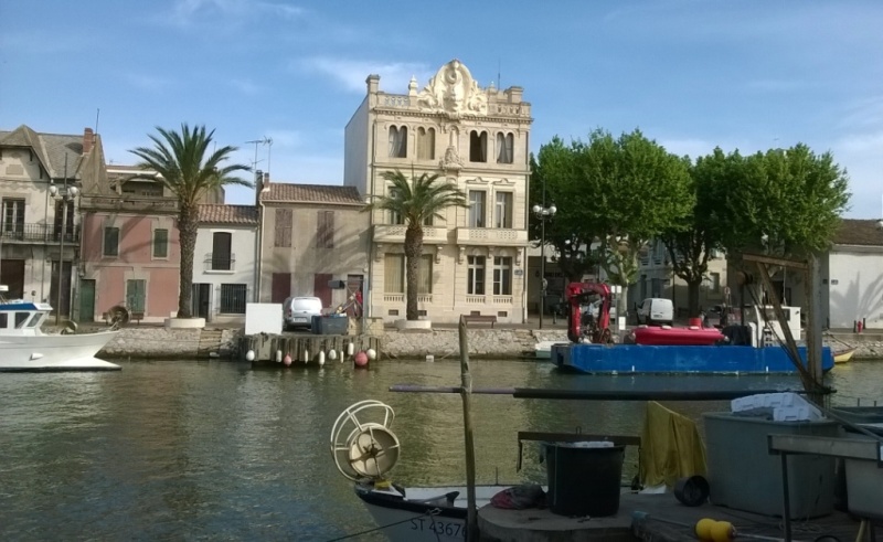 Sortie Camargue 8 9 10mai2015 (10)