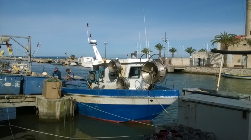 Sortie Camargue 8 9 10mai2015 (15)
