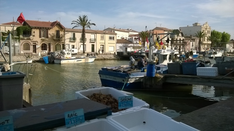 Sortie Camargue 8 9 10mai2015 (20)