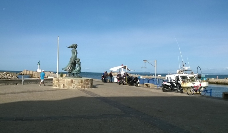 Sortie Camargue 8 9 10mai2015 (21)