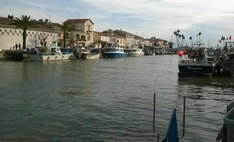 Sortie Camargue 8 9 10mai2015 (8)